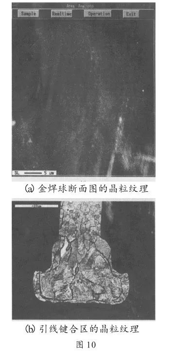 说明: 图片
